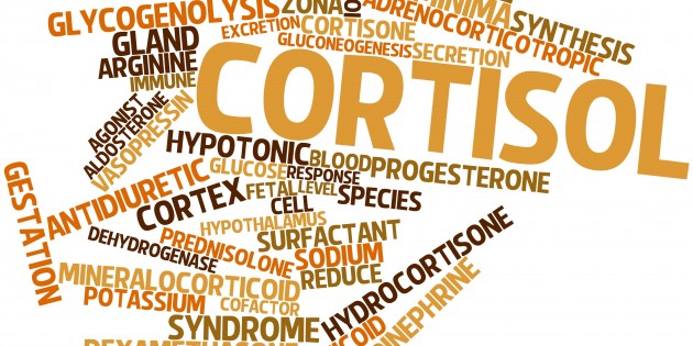 Word cloud for Cortisol